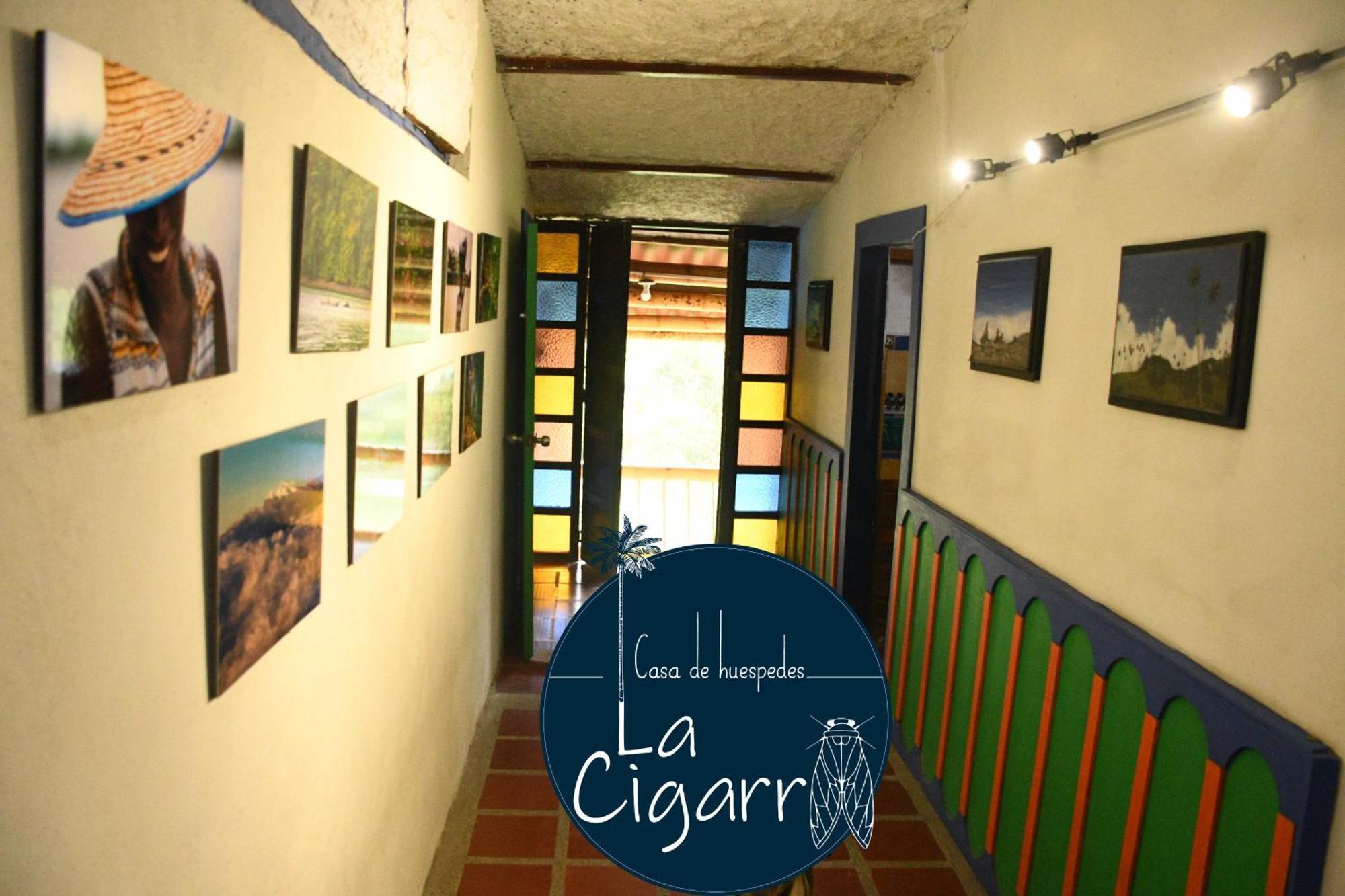 La Cigarra Casa De Huespedes Hotel Salento Kültér fotó
